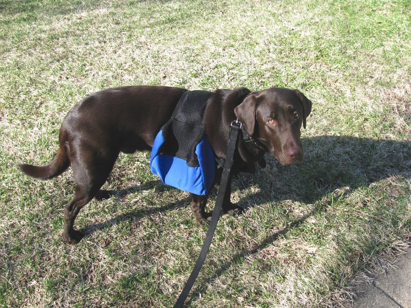 2010-03_17 Hemi backpack_0001.JPG